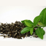 Silk-oil-of-morocco-LaNina-Green-Tea